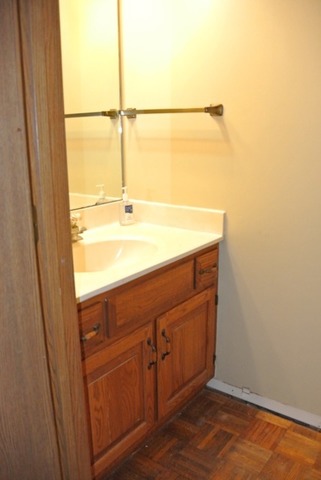 522 Shenandoah Trl, Elgin, IL 60123 photo 14
