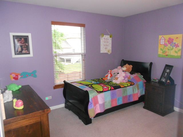 1509 Oriole Ln, Plainfield, IL 60586 photo 9