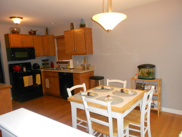 1509 Oriole Ln, Plainfield, IL 60586 photo 5
