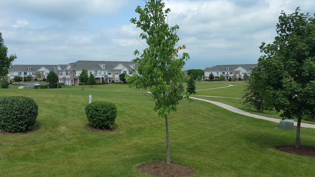2010 Concord Dr, Mchenry, IL 60050 photo 17