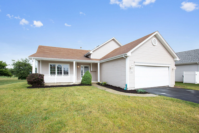 25643 S Daffodil Ln, Monee, IL 60449 photo 1