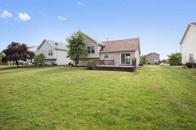 25643 S Daffodil Ln, Monee, IL 60449 photo 3