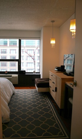30 E Huron St #902, Chicago, IL 60611 photo 10