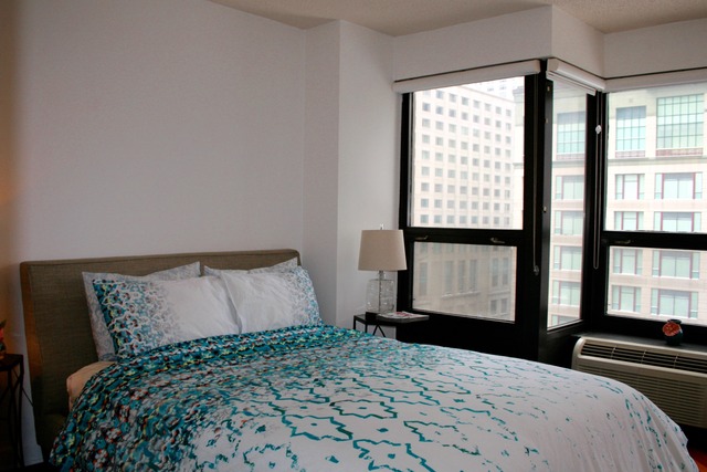 30 E Huron St #902, Chicago, IL 60611 photo 11