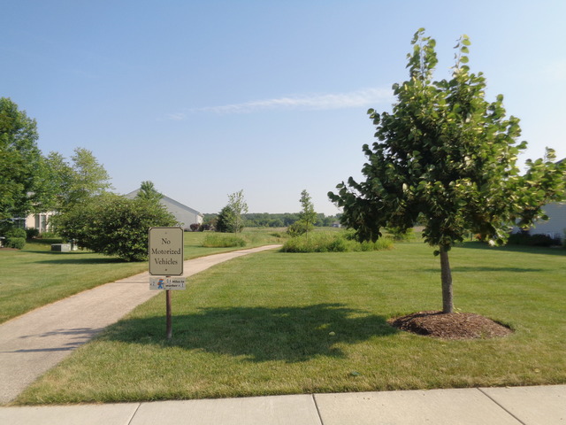 2171 Sandpiper Way, Elgin, IL 60124 photo 3