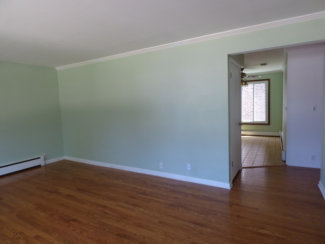 186 E Crestview Ave, Elmhurst, IL 60126 photo 7