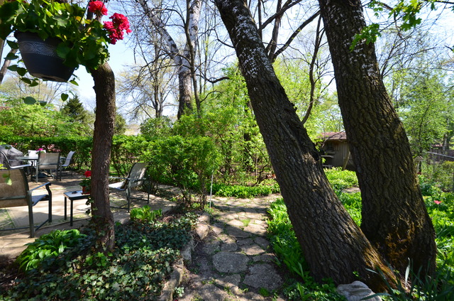 915 Campbell Ave, Wheaton, IL 60189 photo 4