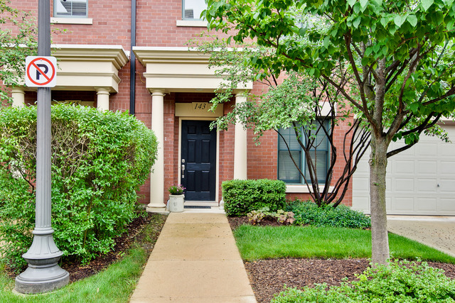 143 River Walk Ct, Elgin, IL 60120 photo 2