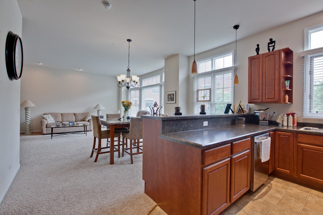 143 River Walk Ct, Elgin, IL 60120 photo 9
