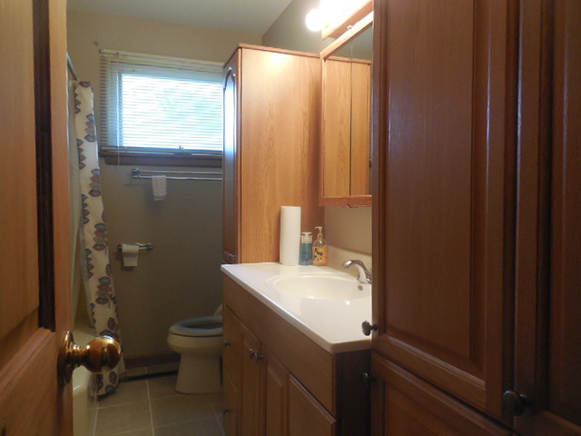 1234 S Curtis Ave, Kankakee, IL 60901 photo 11