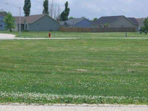 641643 Effie Dr, Earlville, IL 60518