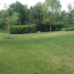 17588 Gilbert Dr, Lockport, IL 60441 photo 17