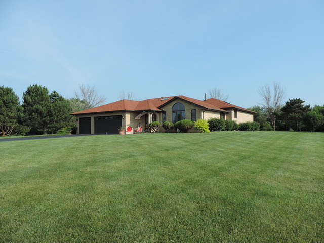 26548 S Oak River Dr, Monee, IL 60449 photo 1