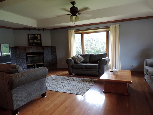 26548 S Oak River Dr, Monee, IL 60449 photo 9