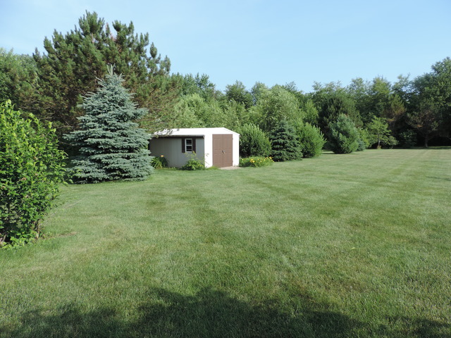 26548 S Oak River Dr, Monee, IL 60449 photo 19