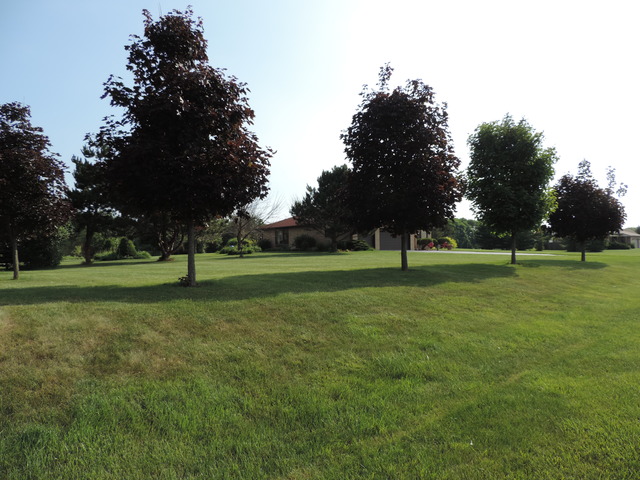 26548 S Oak River Dr, Monee, IL 60449 photo 20