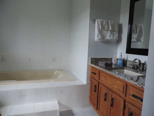 26548 S Oak River Dr, Monee, IL 60449 photo 13