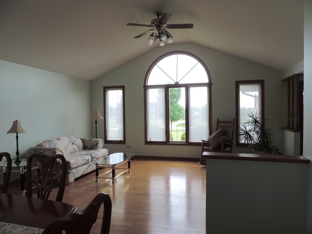 26548 S Oak River Dr, Monee, IL 60449 photo 8