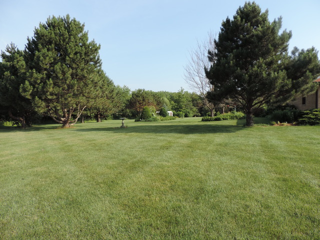26548 S Oak River Dr, Monee, IL 60449 photo 21