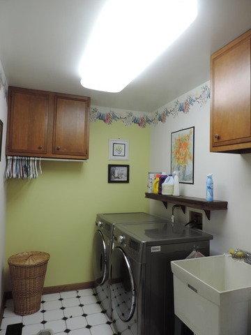26548 S Oak River Dr, Monee, IL 60449 photo 17