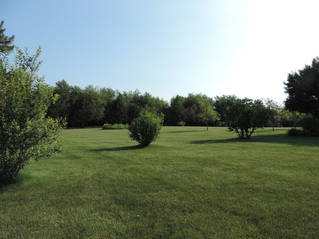 26548 S Oak River Dr, Monee, IL 60449 photo 22