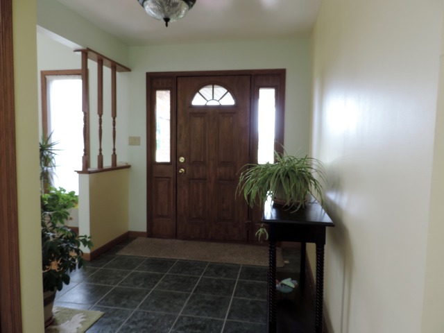26548 S Oak River Dr, Monee, IL 60449 photo 18