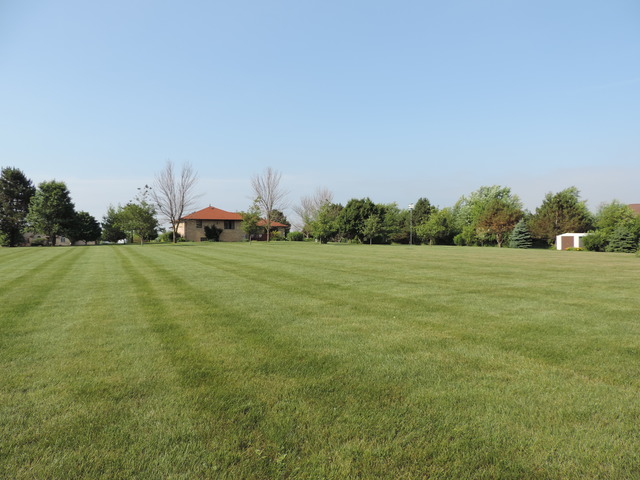 26548 S Oak River Dr, Monee, IL 60449 photo 24