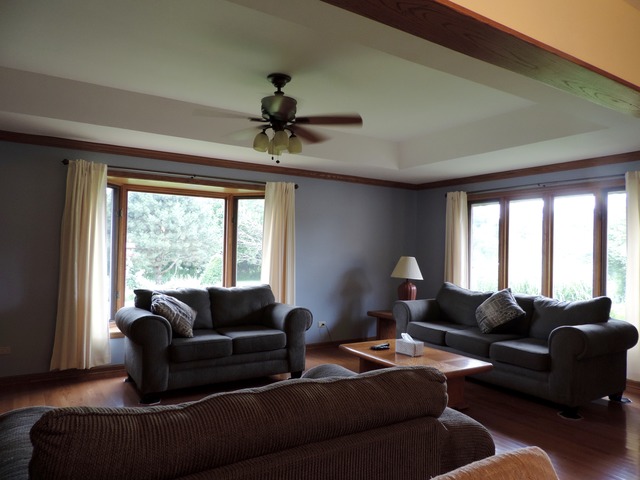 26548 S Oak River Dr, Monee, IL 60449 photo 10