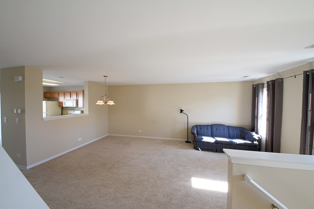 14619 Thomas Jefferson Dr, Plainfield, IL 60544 photo 5