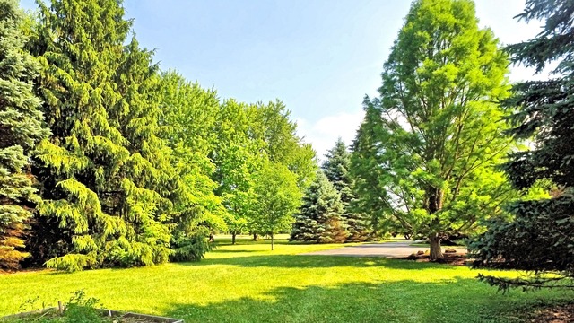 7100 Stonewier, Mchenry, IL 60050 photo 4
