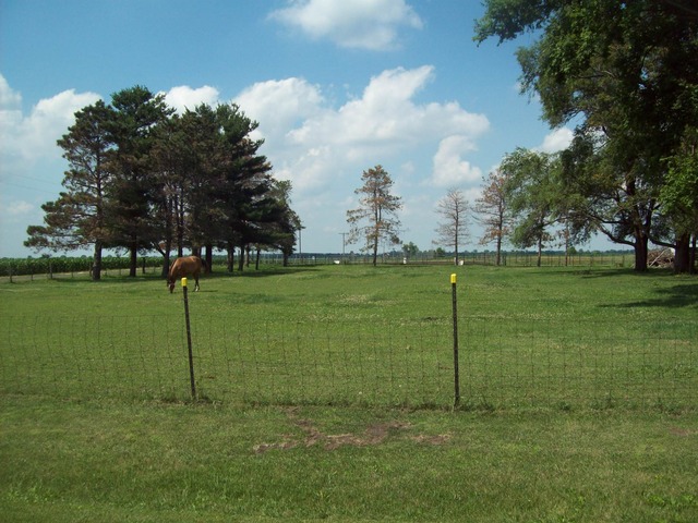 104 Baseline Rd, Walnut, IL 61376 photo 3