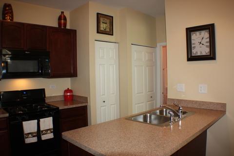 3609 Daisy Ln, Elgin, IL 60124 photo 8