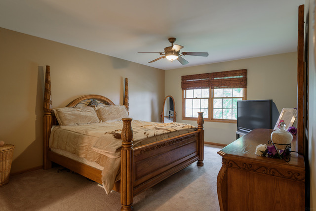 23041 Persimmon Ln, Plainfield, IL 60586 photo 11