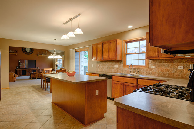 23041 Persimmon Ln, Plainfield, IL 60586 photo 3