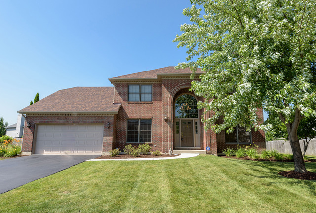 23041 Persimmon Ln, Plainfield, IL 60586 photo 1
