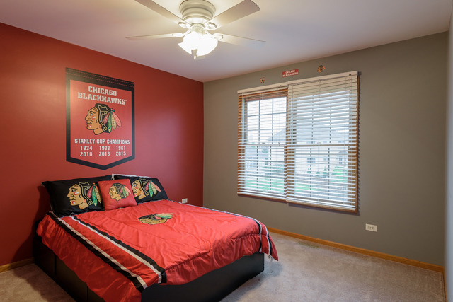23041 Persimmon Ln, Plainfield, IL 60586 photo 16