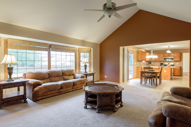 23041 Persimmon Ln, Plainfield, IL 60586 photo 7