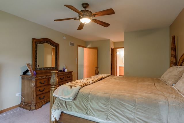 23041 Persimmon Ln, Plainfield, IL 60586 photo 12
