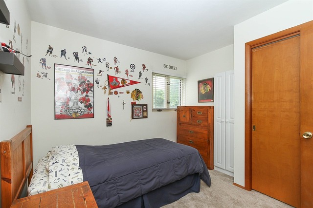 1025 Martingale Dr, Bartlett, IL 60103 photo 20