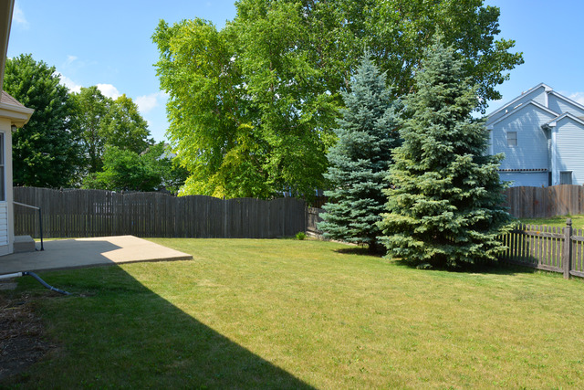 4811 Goodhue Ln, Plainfield, IL 60586 photo 20