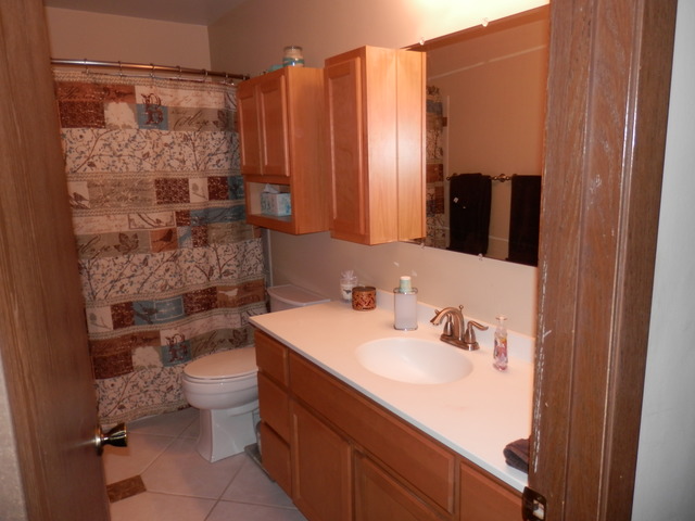 417 E Chippendale Dr, Bartlett, IL 60103 photo 3