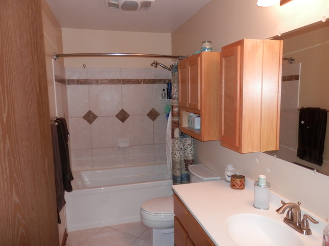 417 E Chippendale Dr, Bartlett, IL 60103 photo 4