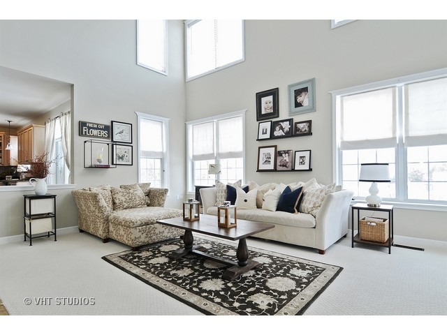 603 Eagle Brook Ln, Naperville, IL 60565 photo 9