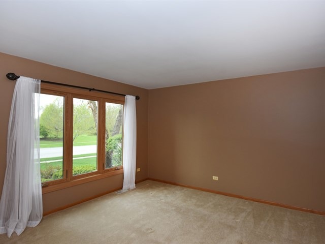 11966 195th St, Mokena, IL 60448 photo 3