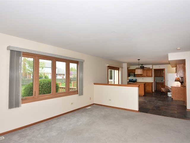 11966 195th St, Mokena, IL 60448 photo 6