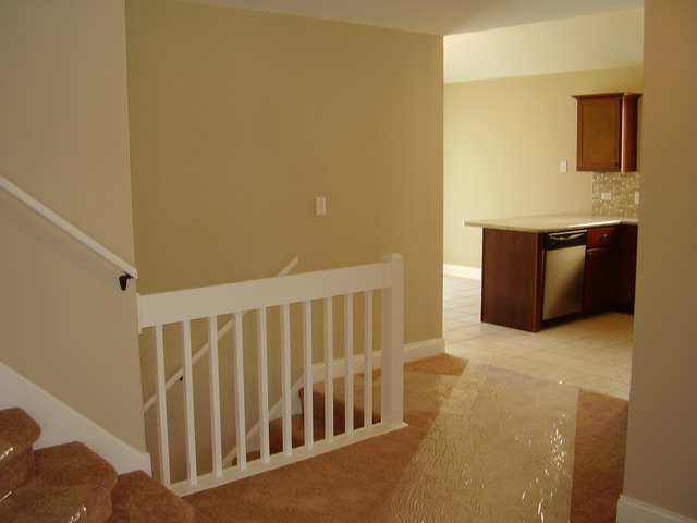 3430 Loverock Ln, Steger, IL 60475 photo 7