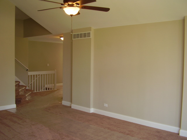 3430 Loverock Ln, Steger, IL 60475 photo 5