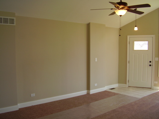 3430 Loverock Ln, Steger, IL 60475 photo 4