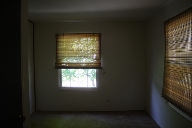 20 Silver Tree Cir, Cary, IL 60013 photo 11