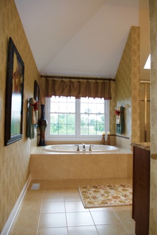 26313 W Milestone Dr, Plainfield, IL 60585 photo 22